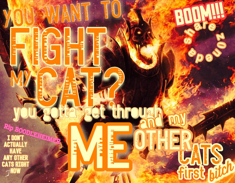 an armored figure breathing fire and carrying a sword, with text superimposed: "YOU WANT TO FIGHT MY CAT? you gotta get through ME and my OTHER CATS first bitch Rip BOODLEHEIMER I DON'T ACTUALLY HAVE ANY OTHER CATS RIGHT NOW BOOM!!! da share z0ne"