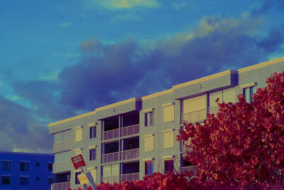 a tan building between a dark red sea grape tree and a dim blue sky